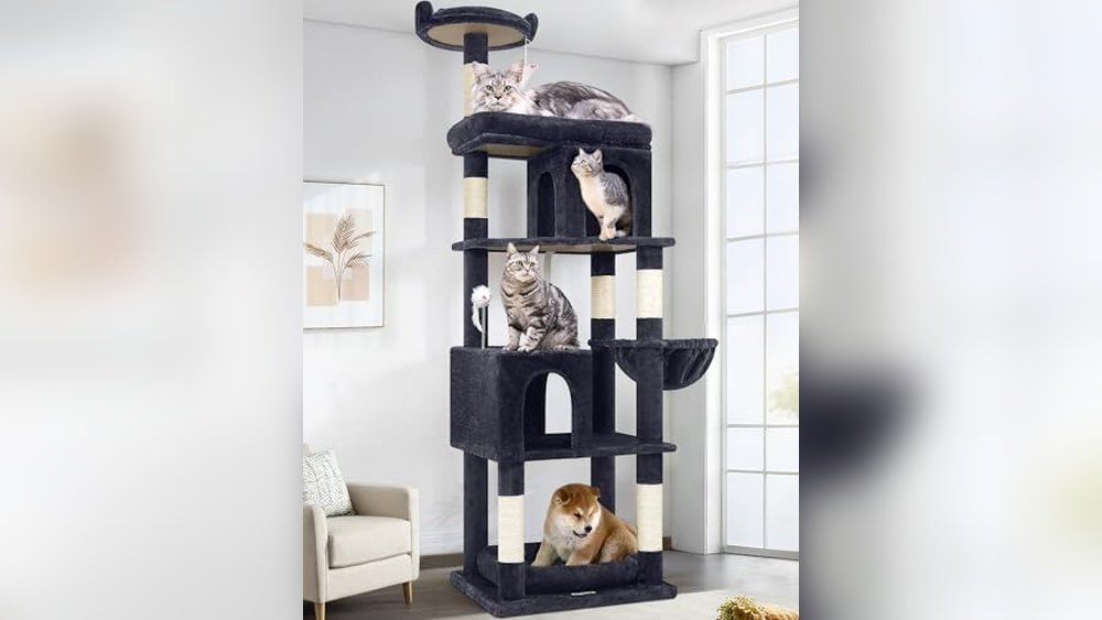 Best Cat Trees for Maine Coons