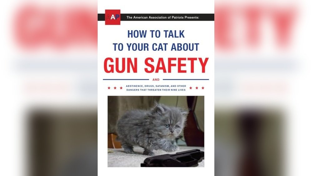 Best Cats for First Time Cat Owners