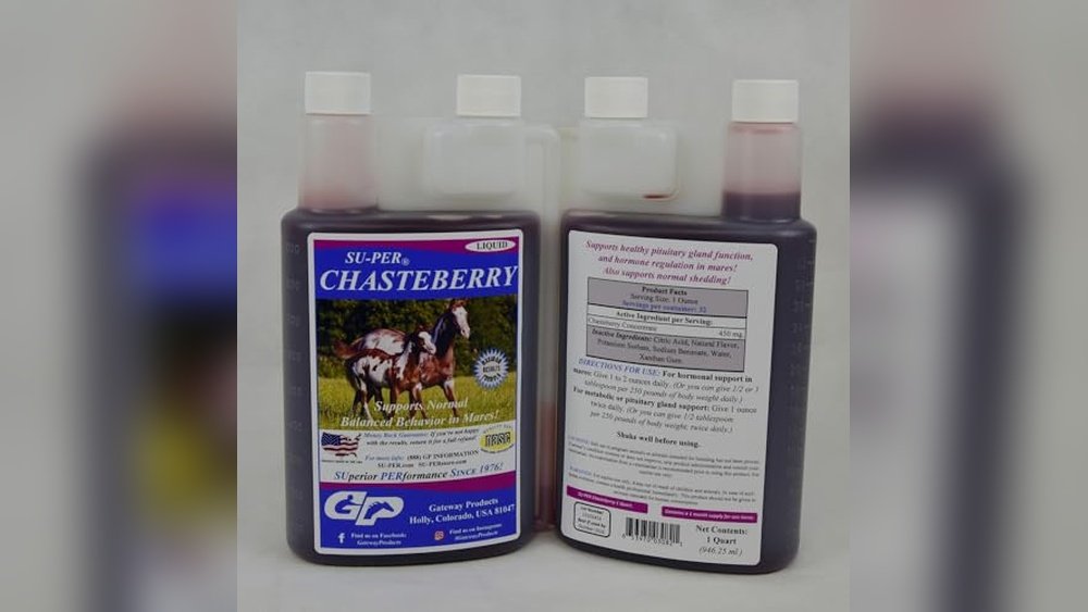 Best Chasteberry Supplement for Horses