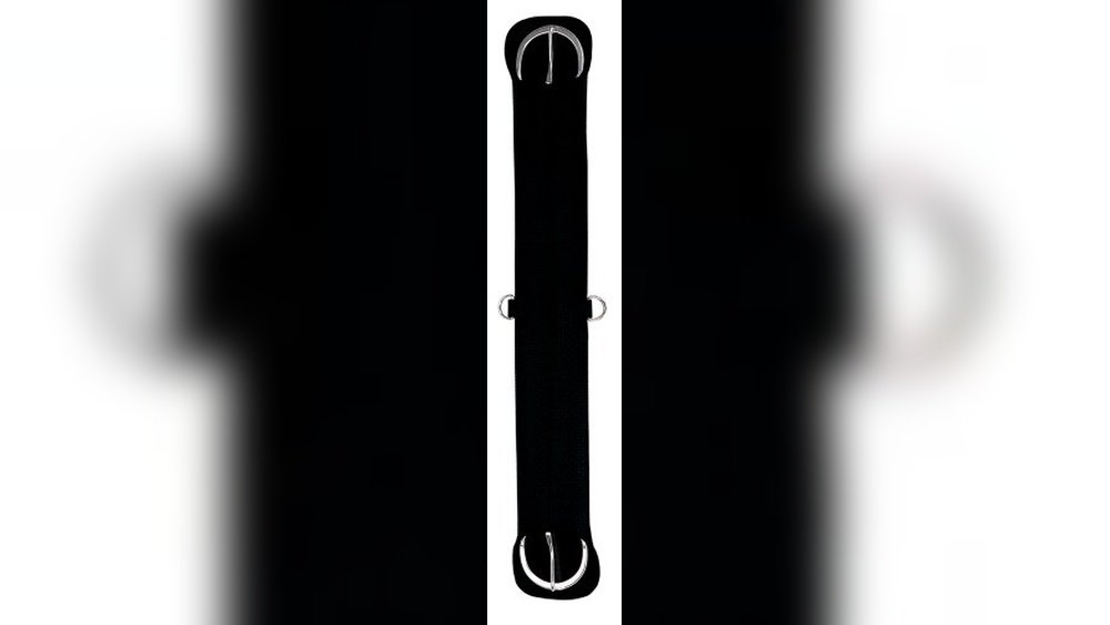 Best Cinch for Horses