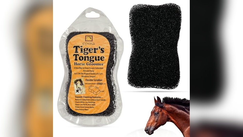 Best Cleaning Tools for White Horse