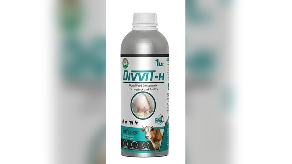 Best Coat Supplement for Horses