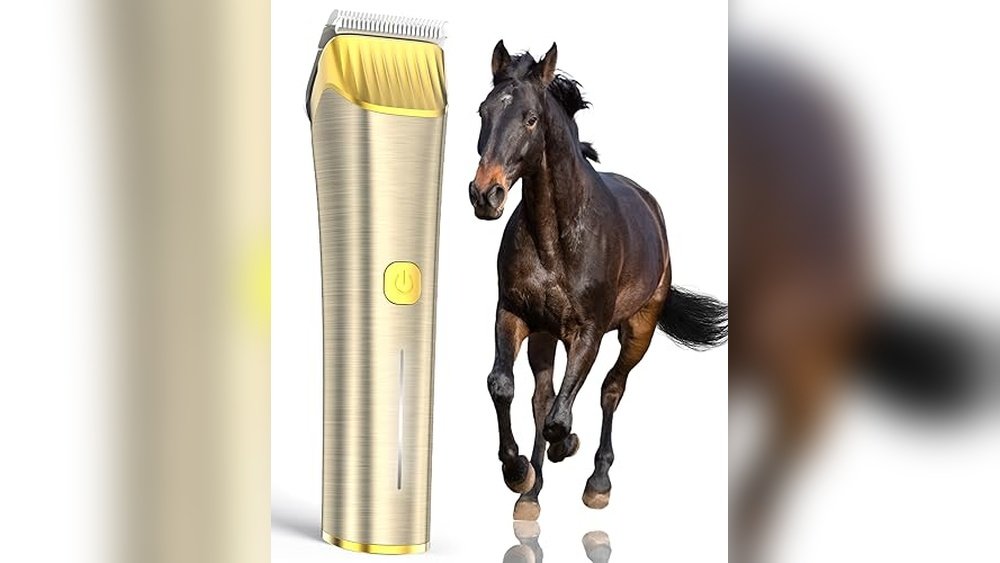Best Cordless Clippers for Horses
