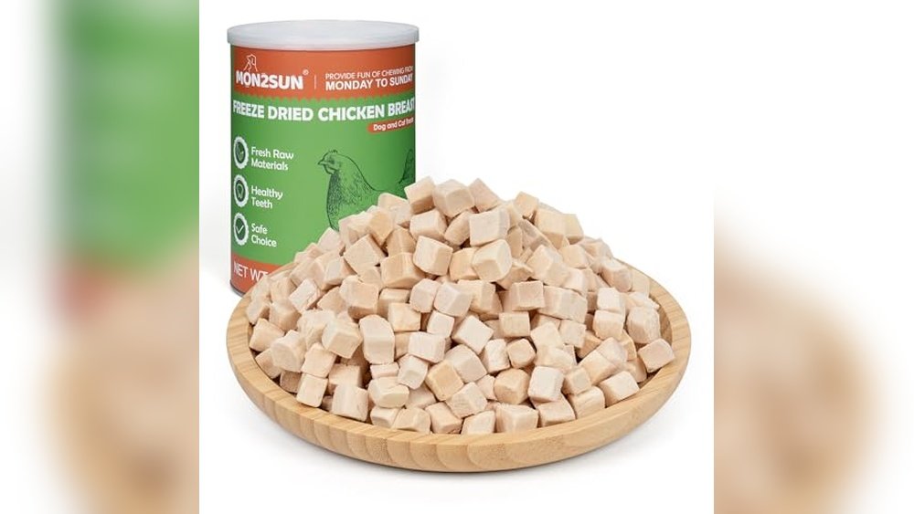 Best Dehydrator for Dog Treats