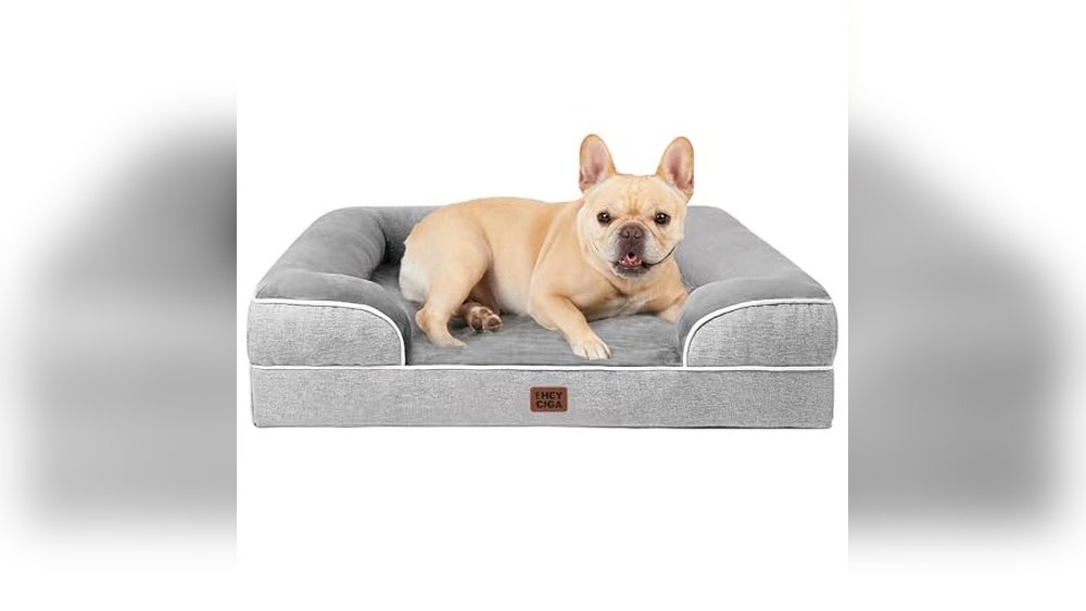 Best Dog Bed for French Bulldog
