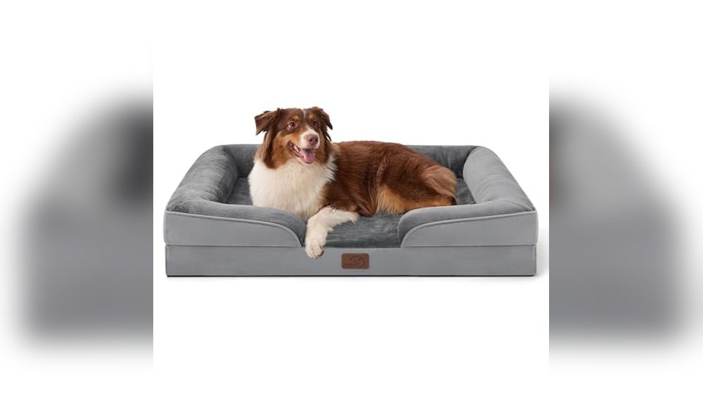 Best Dog Beds for Dogs With Hip Dysplasia