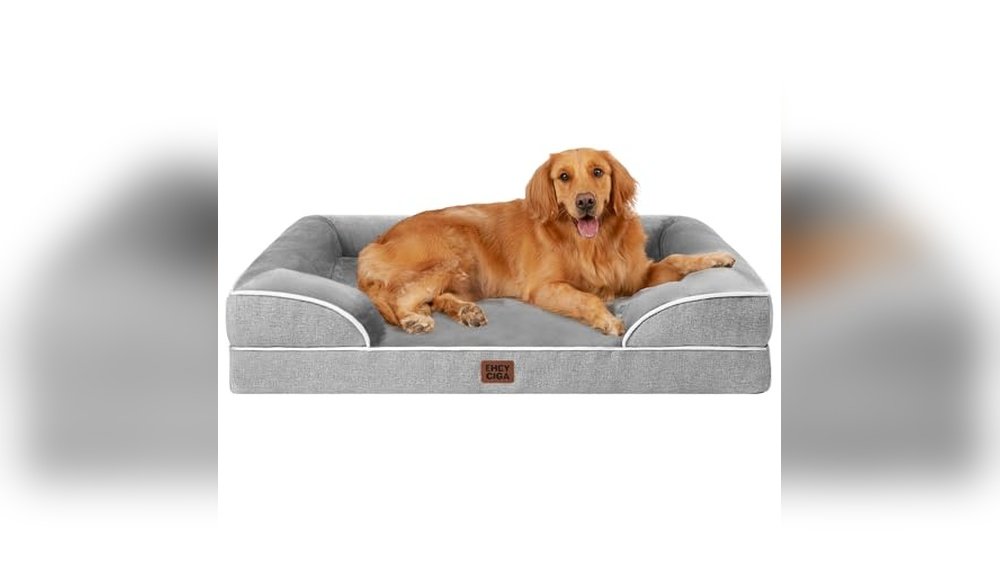 Best Dog Beds for Golden Retrievers