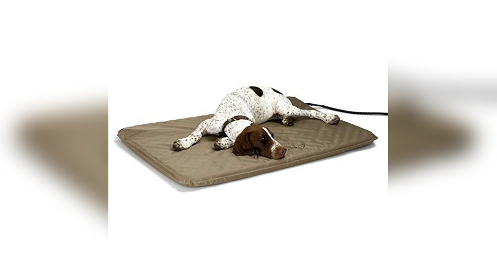 Best Dog Beds for Outside
