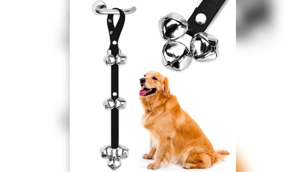 Best Dog Bell for Potty Training