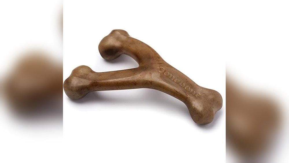 Best Dog Bones for Chewers