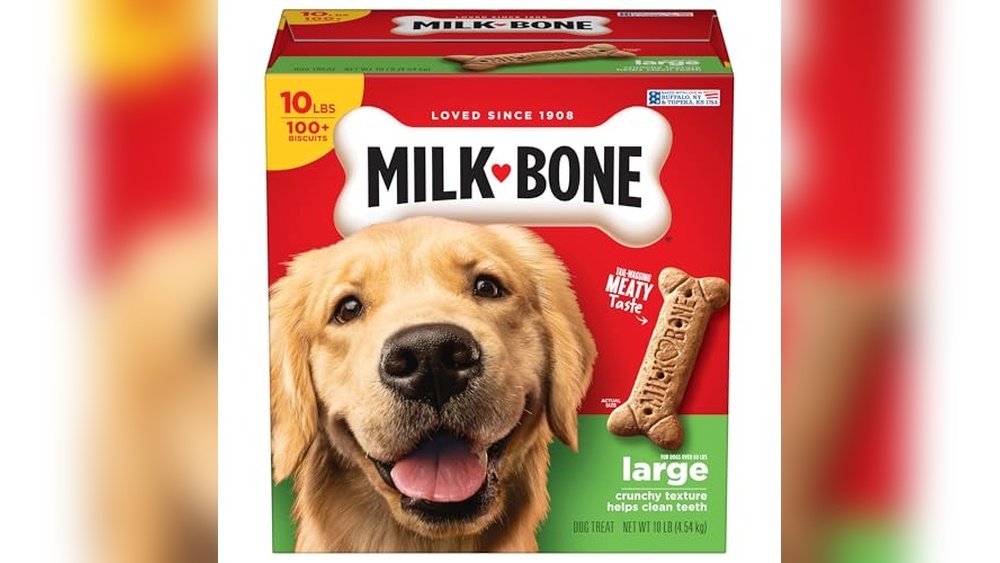 Best Dog Bones for Large Dogs