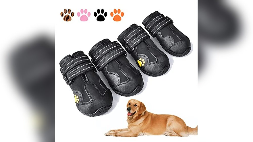 Best Dog Boots for Hiking