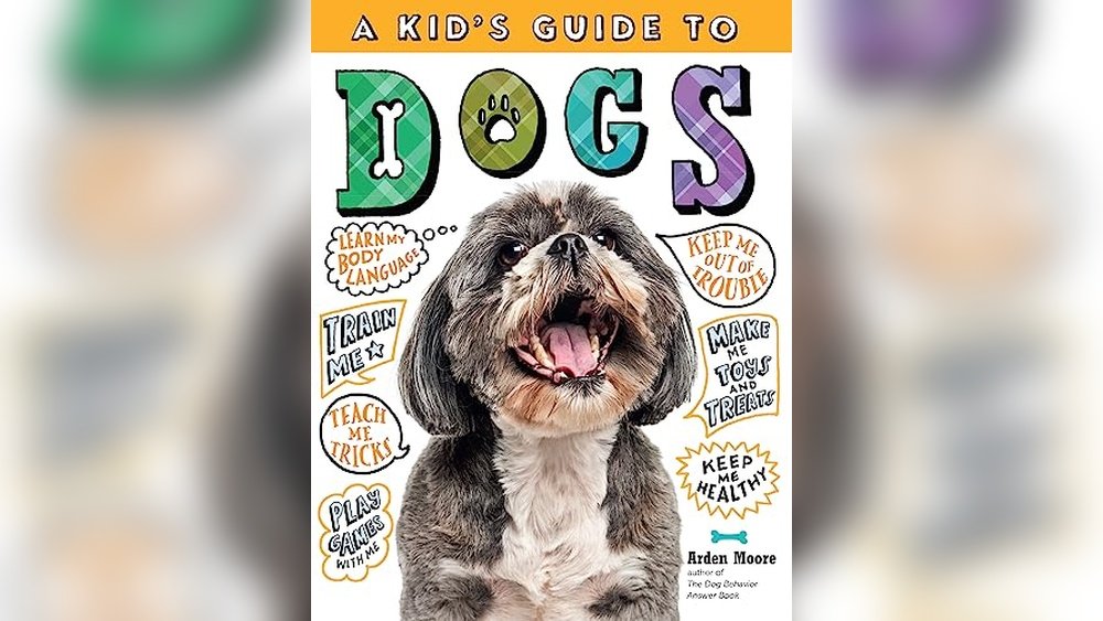 Best Dog Breeds for Traveling