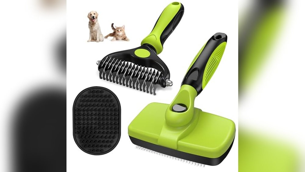 Best Dog Brush for Bernese Mountain Dog