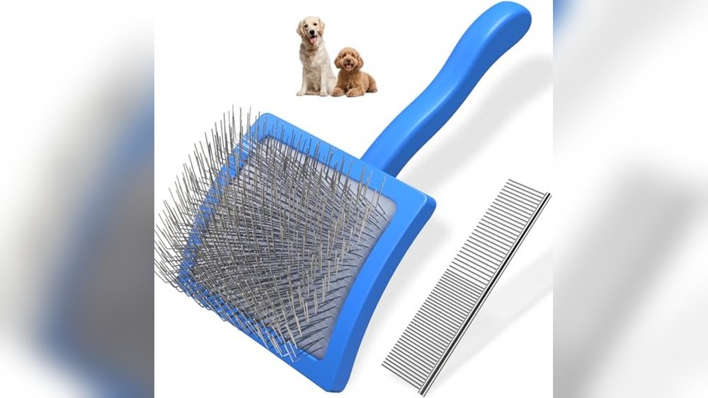Best Dog Brush for Labradoodle
