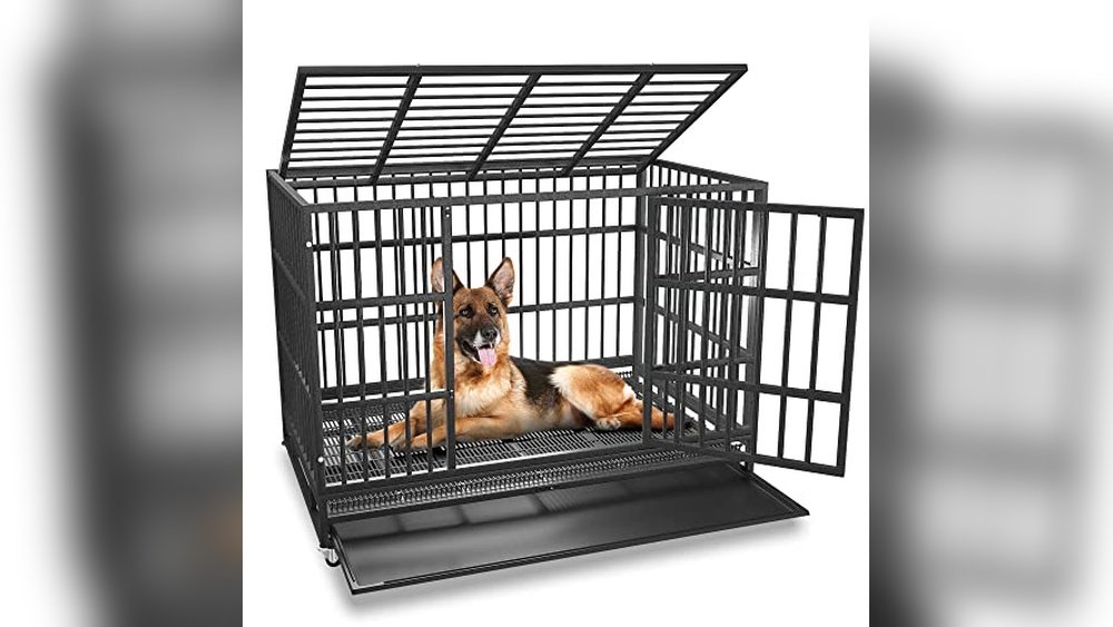 Best Dog Cage for German Shepherd