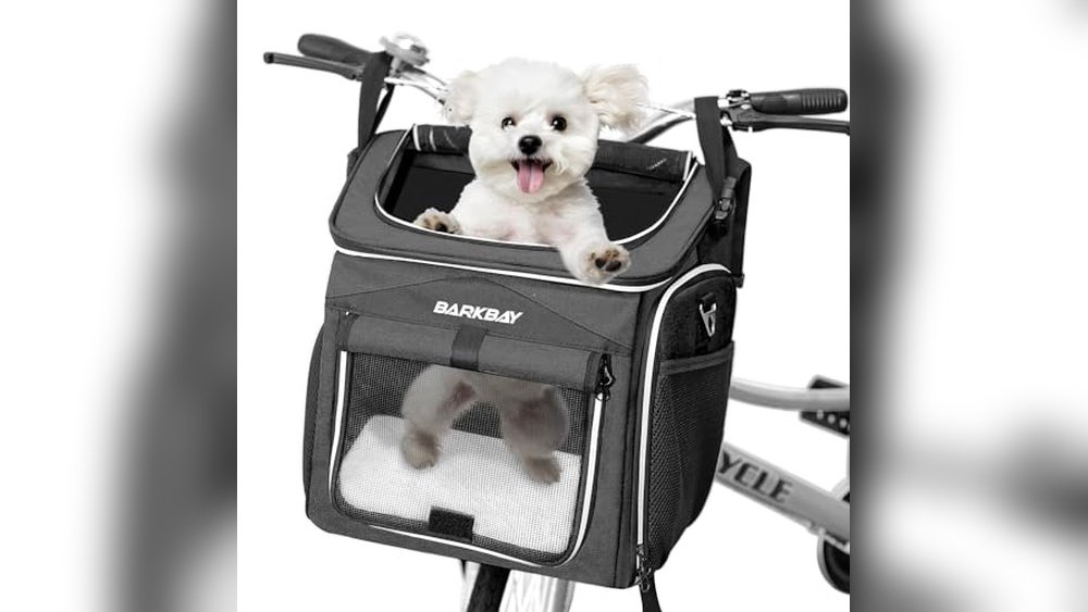 Best Dog Carrier for Biking