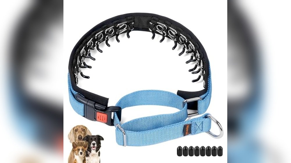 Best Dog Collar for Pulling