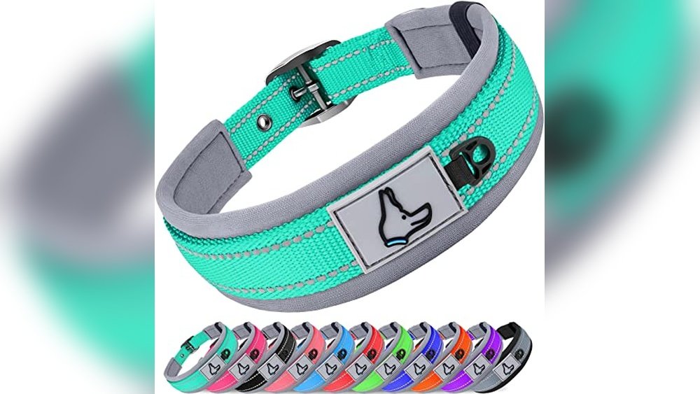 Best Dog Collar for Sensitive Skin