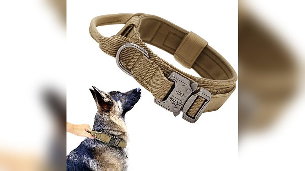Best Dog Collars for German Shepherds