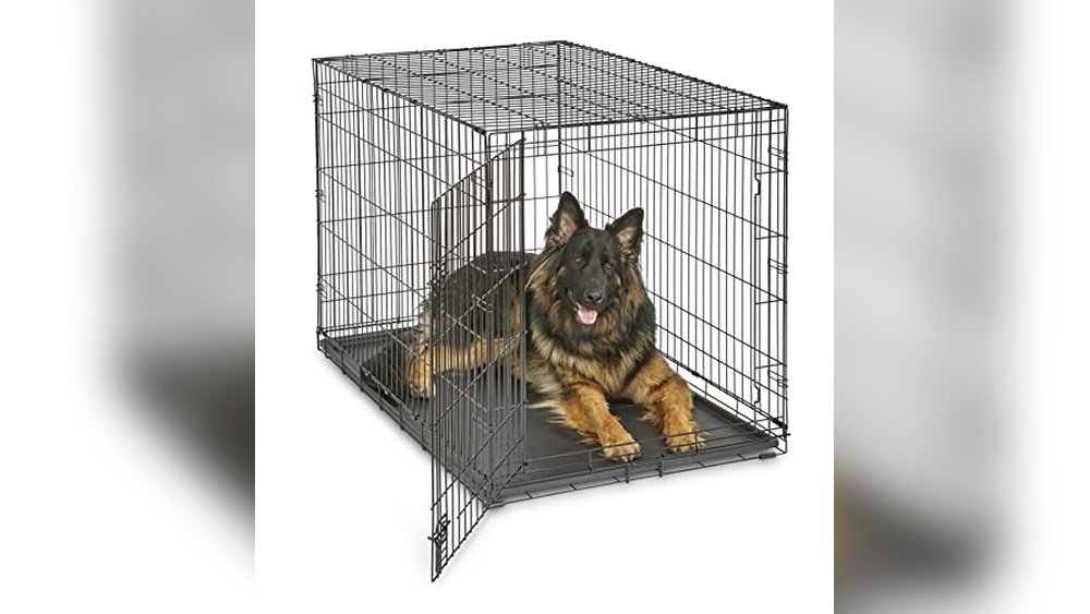 Best Dog Crate for German Shepherd