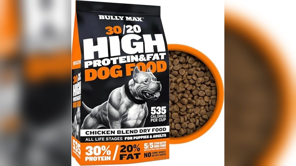 Best Dog Food Brands for Pitbulls