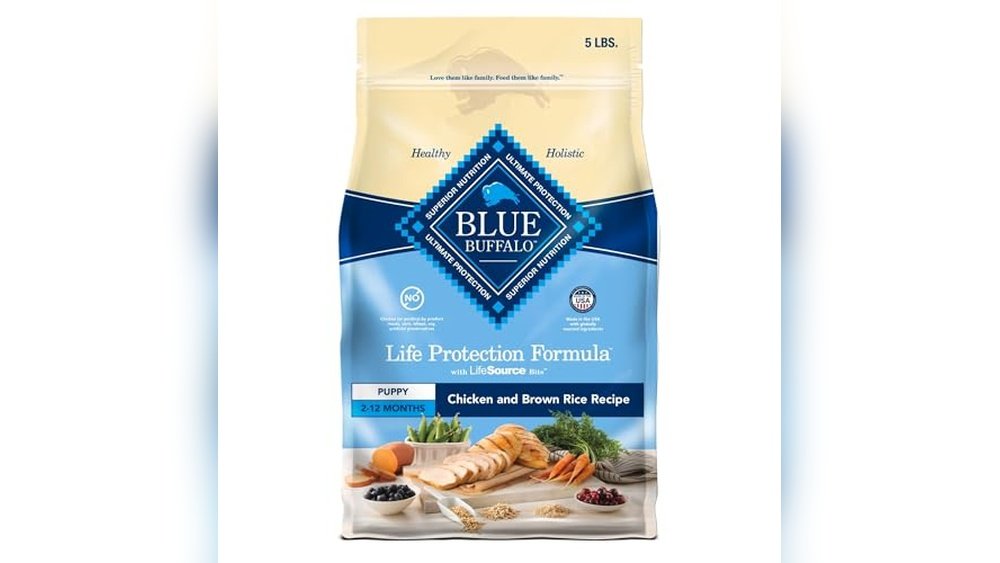 Best Dog Food for Akitas