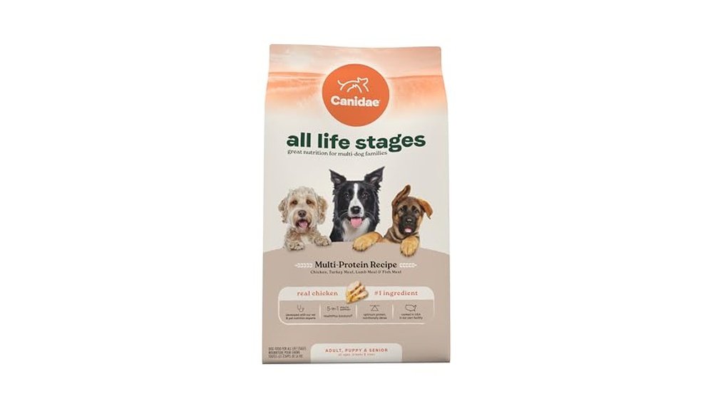 Best Dog Food for Basset Hounds