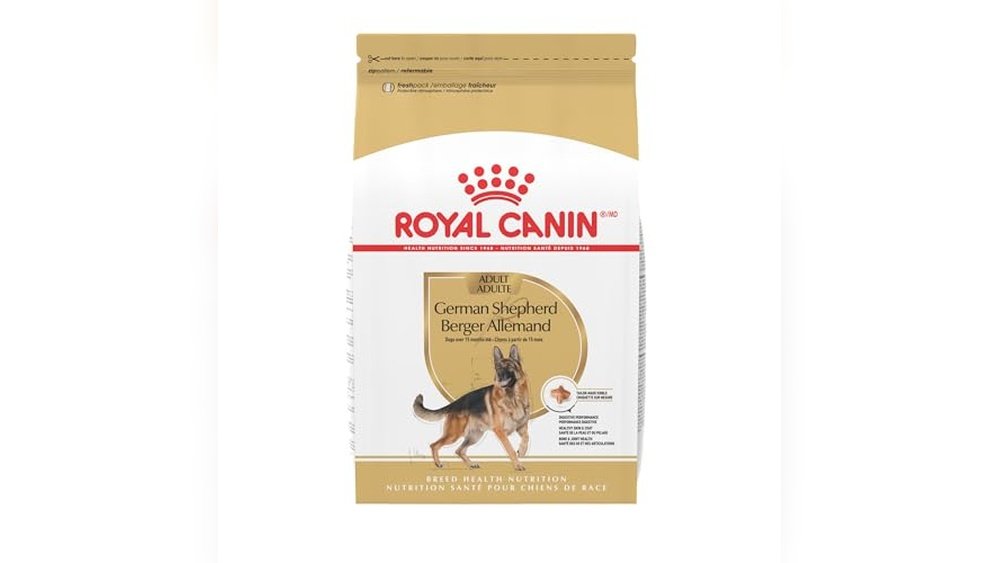 Best Dog Food for Belgian Malinois