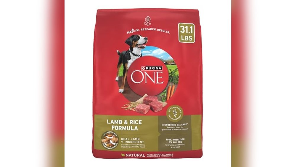 Best Dog Food for Bernedoodle
