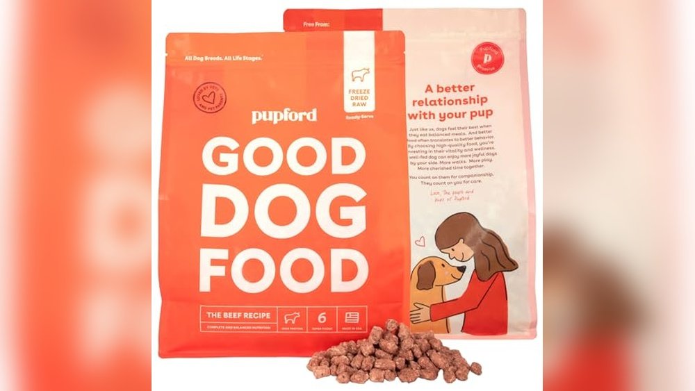 Best Dog Food for Bernedoodles