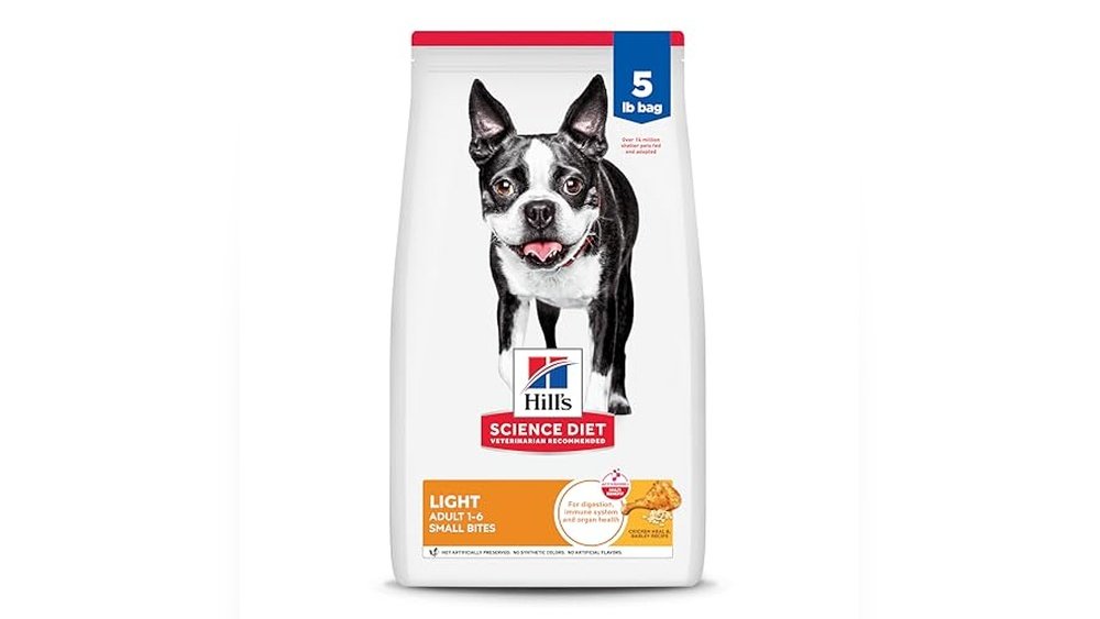 Best Dog Food for Boston Terrier