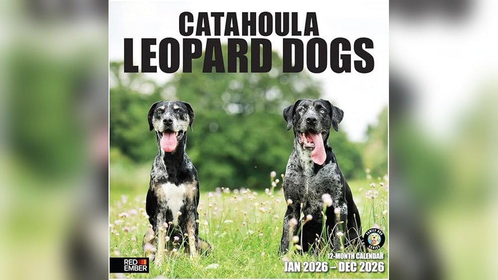 Best Dog Food for Catahoula Leopard Dog