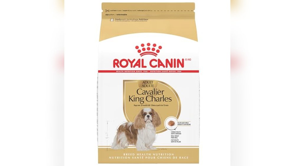 Best Dog Food for Cavalier King Charles Spaniel
