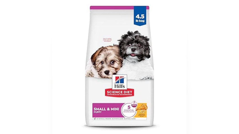Best Dog Food for Cavapoo Puppy