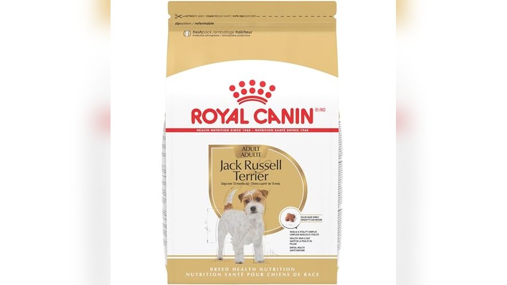 Best Dog Food for Chihuahua Jack Russell Mix