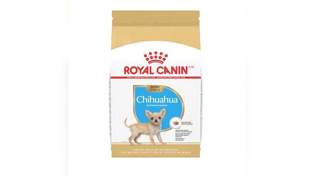 Best Dog Food for Chihuahua Puppy