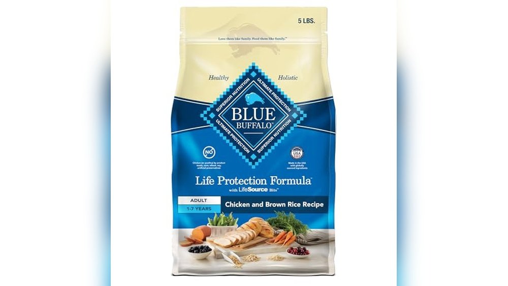 Best Dog Food for Cockapoo