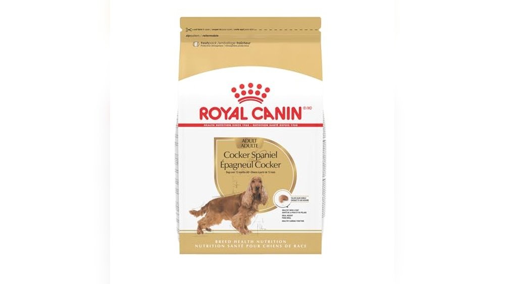 Best Dog Food for Cocker Spaniel