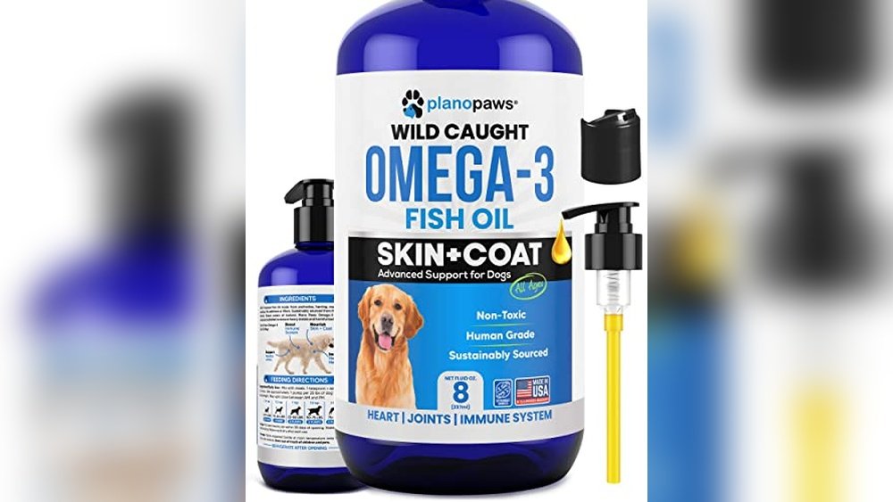 Best Dog Food for Dogs That Shed