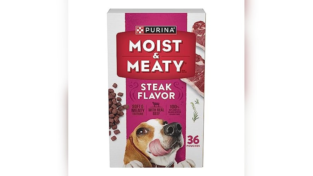 Best Dog Food for Dogs With No Teeth