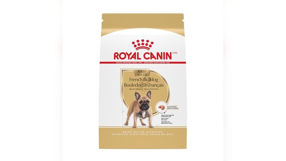 Best Dog Food for Frenchies With Allergies