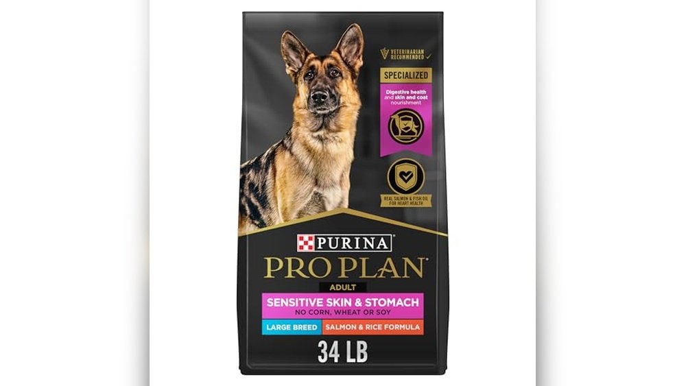 Best Dog Food for German Shepherds With Sensitive Stomachs