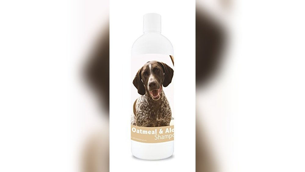 Best Dog Food for German Shorthaired Pointer