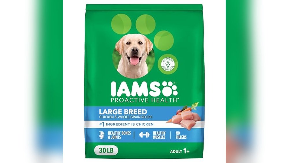 Best Dog Food for Greyhounds