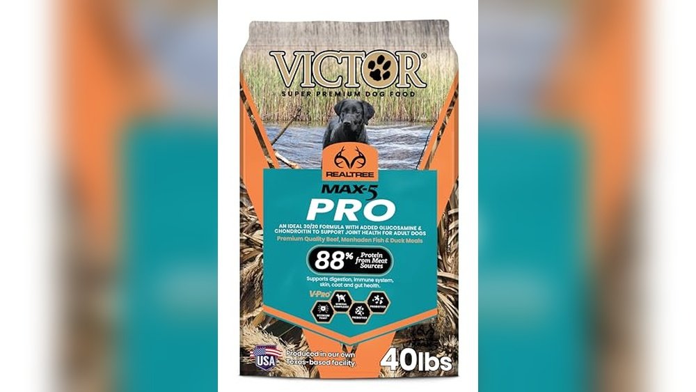 Best Dog Food for Hunting Dogs