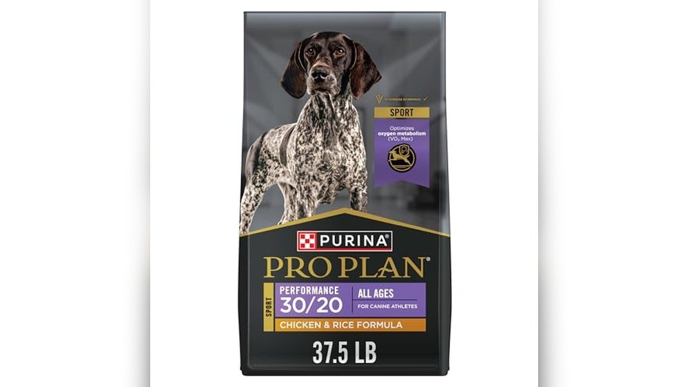 Best Dog Food for Hunting Hounds