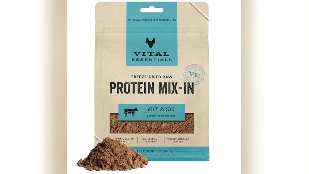 Best Dog Food for Husky Shepherd Mix