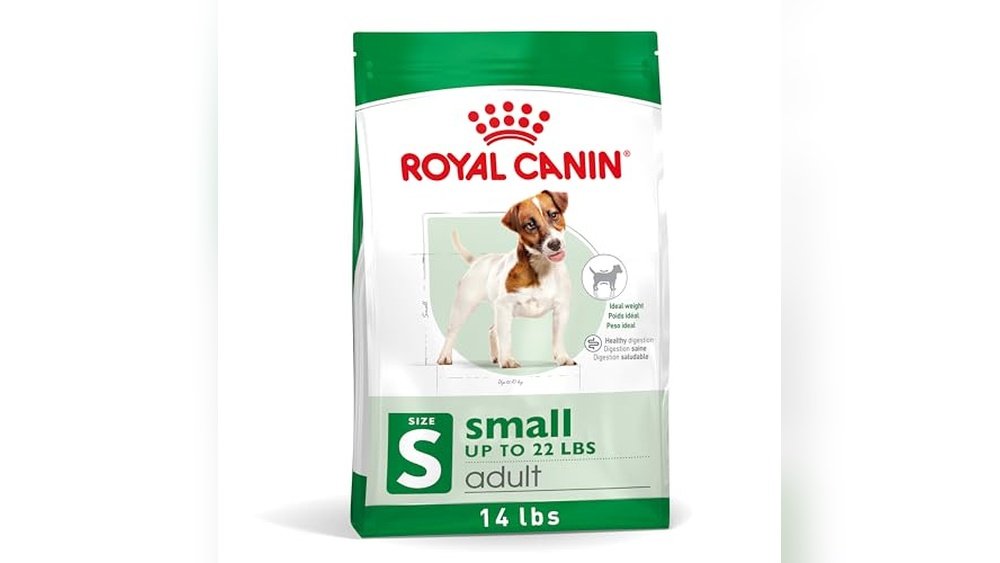 Best Dog Food for Jack Russell