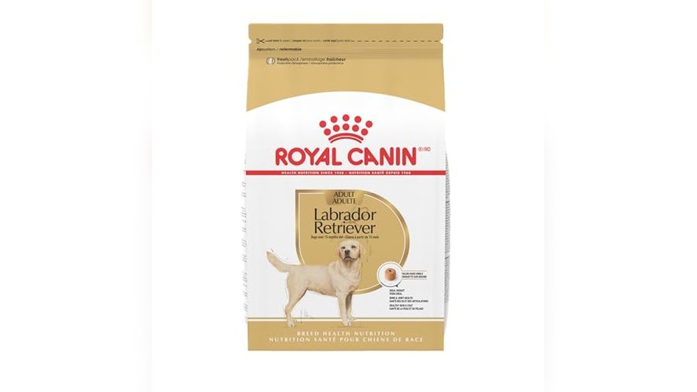 Best Dog Food for Lab